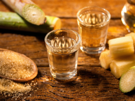 main_Paulo_Vilela__-_shutterstock.com