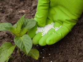 importação e exportação de fertilizantes