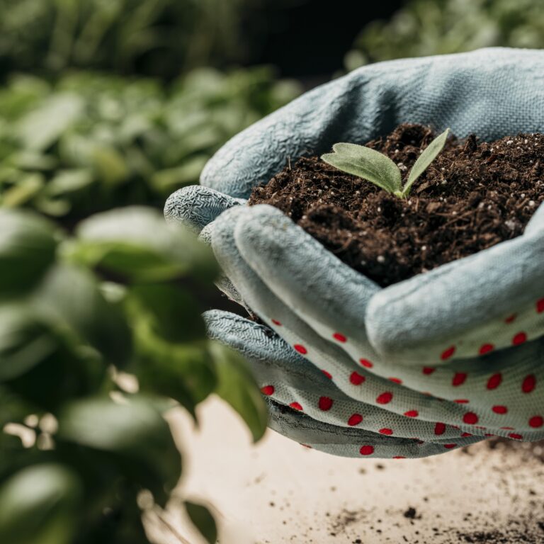 vista-lateral-das-maos-com-luvas-segurando-solo-e-planta